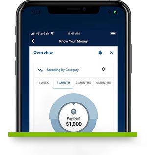 KYM on SwiftCapital Mobile KYM screen on SwiftCapital Mobile